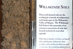 Willakenzie Soil / 海洋性堆積土壌