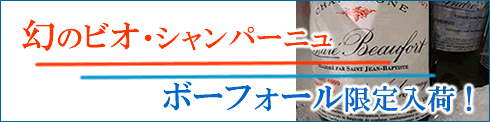���̃r�I�E�V�����p�[�j���{�[�t�H�[��������ׁI