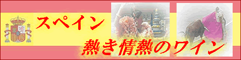 �X�y�C���M����M�̃��C��
