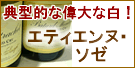 �T�^�I�Ɉ̑�Ȕ��I�G�e�B�G���k�E�\�[