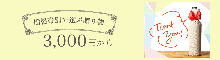 3000円