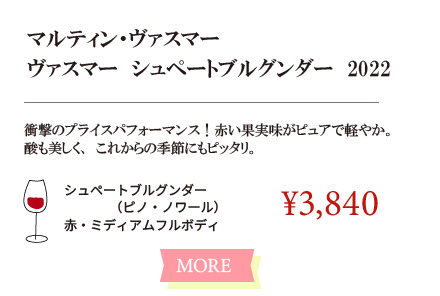 マルティン・ヴァスマー