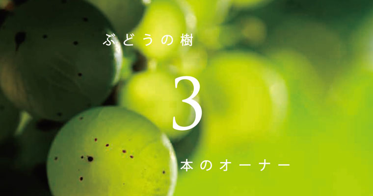Ԃǂ̎