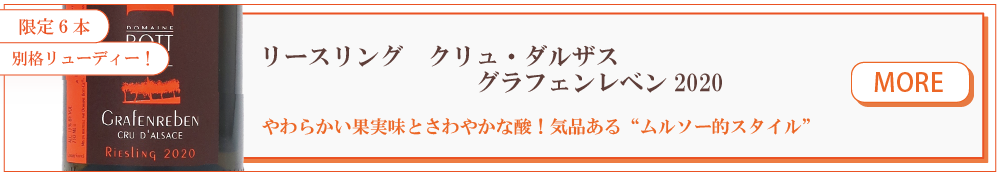 ボットゲイル
