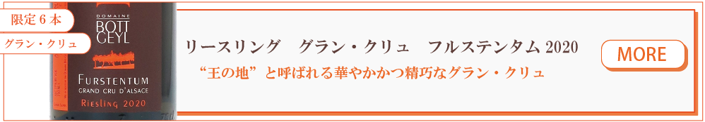 ボットゲイル