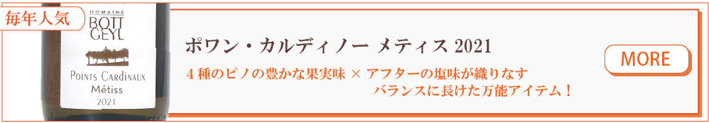 ボットゲイル