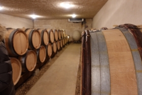 シモン・コラン