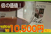 �t�[�o�[