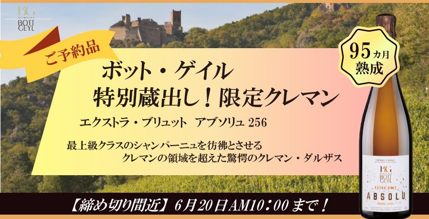 ボット・ゲイル