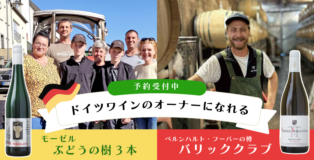 バリッククラブ　ぶどうの樹3本のオーナー